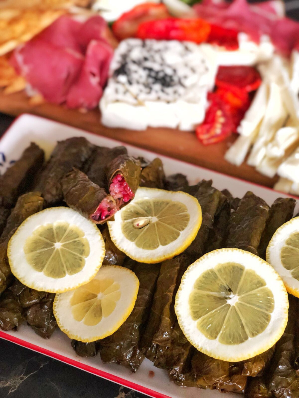 Zeytinyağlılar